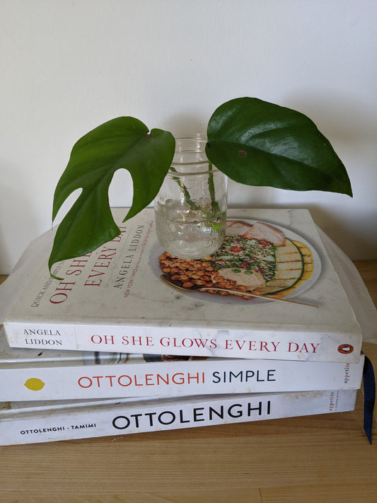 Cool thing for new product launch